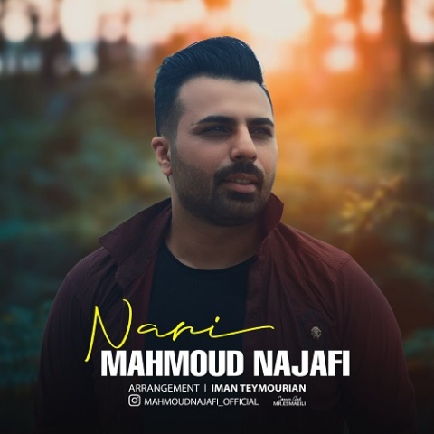 محمود نجفی نری