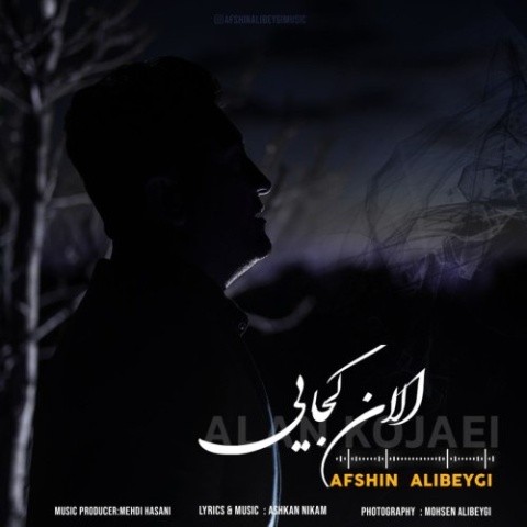 افشین علی بیگی الان کجایی