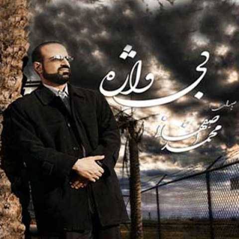 محمد اصفهانی ناجی
