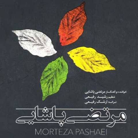 مرتضی پاشایی نبودی