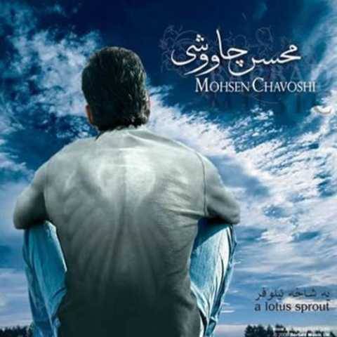 محسن چاوشی چرا