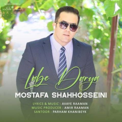 مصطفی شاه حسینی لب دریا