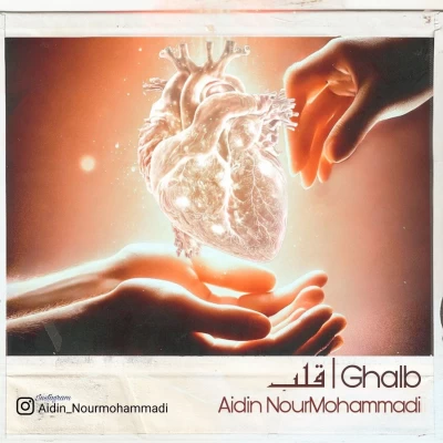 آیدین نورمحمدی قلب
