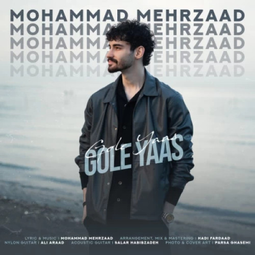 محمد مهرزاد گل یاس