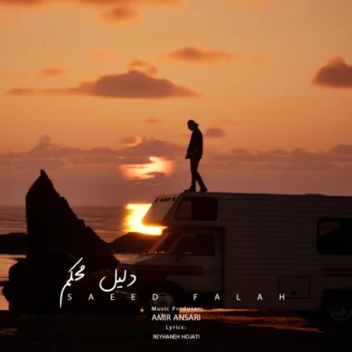 سعید فلاح دلیل محکم